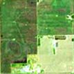 a farm