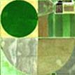 a farm
