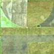 a farm