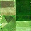 a farm