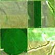 a farm